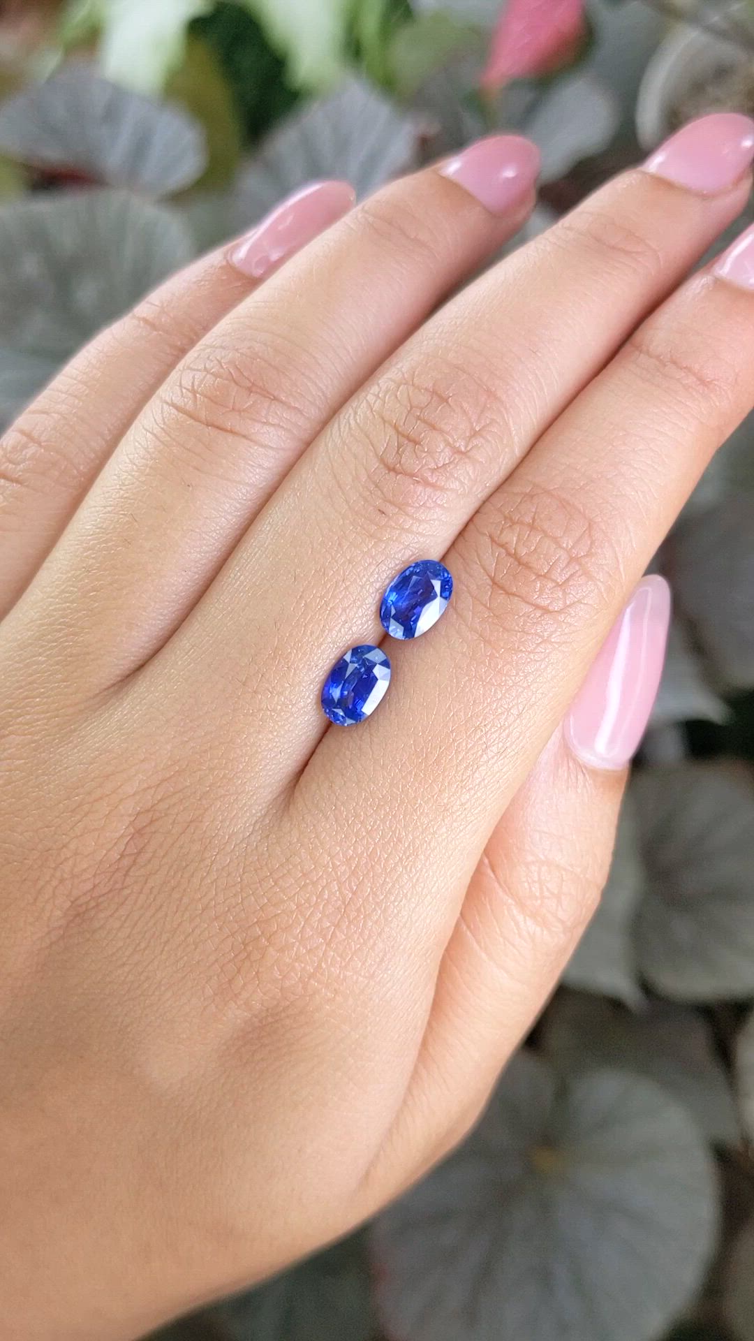 2.78 Ct.Tw.Total Carat Weight Blue Sapphire Pair from Ceylon (Sri Lanka) Size Video