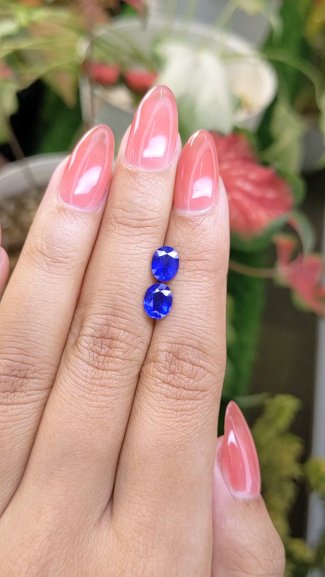2.33 Ct.Tw.Total Carat Weight Blue Sapphire Pair from Ceylon (Sri Lanka) Size Video
