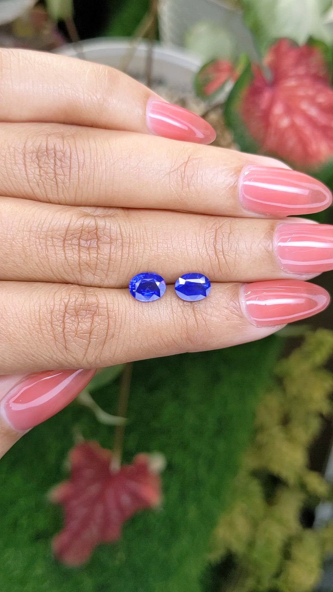 2.33 Ct.Tw.Total Carat Weight Blue Sapphire Pair from Ceylon (Sri Lanka) Size Video