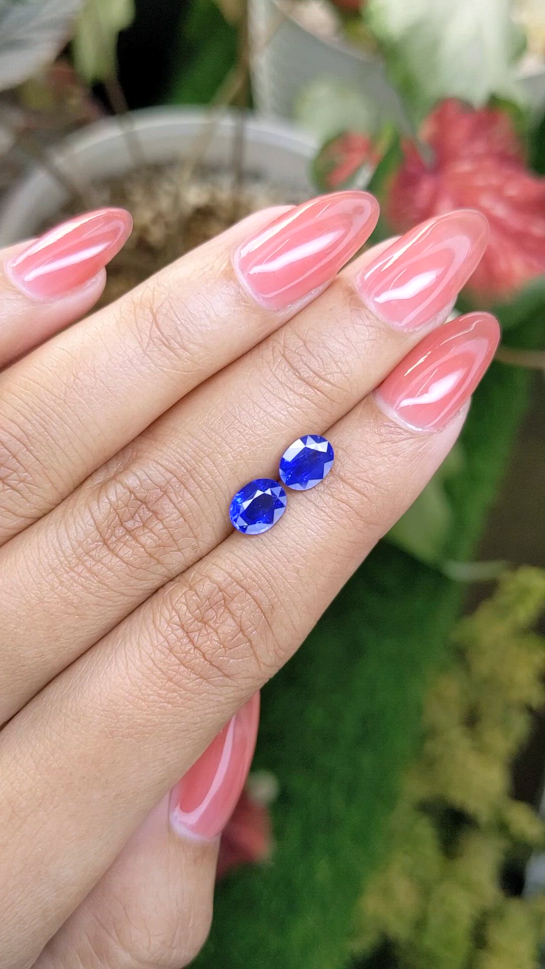 2.33 Ct.Tw.Total Carat Weight Blue Sapphire Pair from Ceylon (Sri Lanka) Size Video
