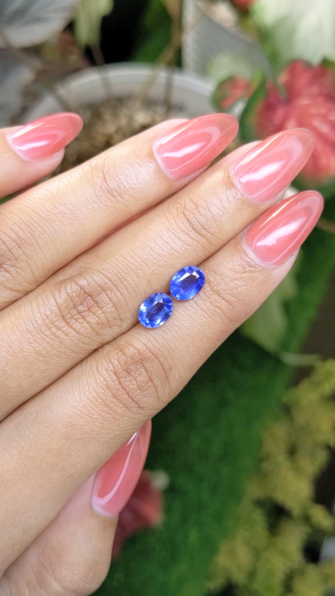 2.11 Ct.Tw.Total Carat Weight Blue Sapphire Pair from Ceylon (Sri Lanka) Size Video