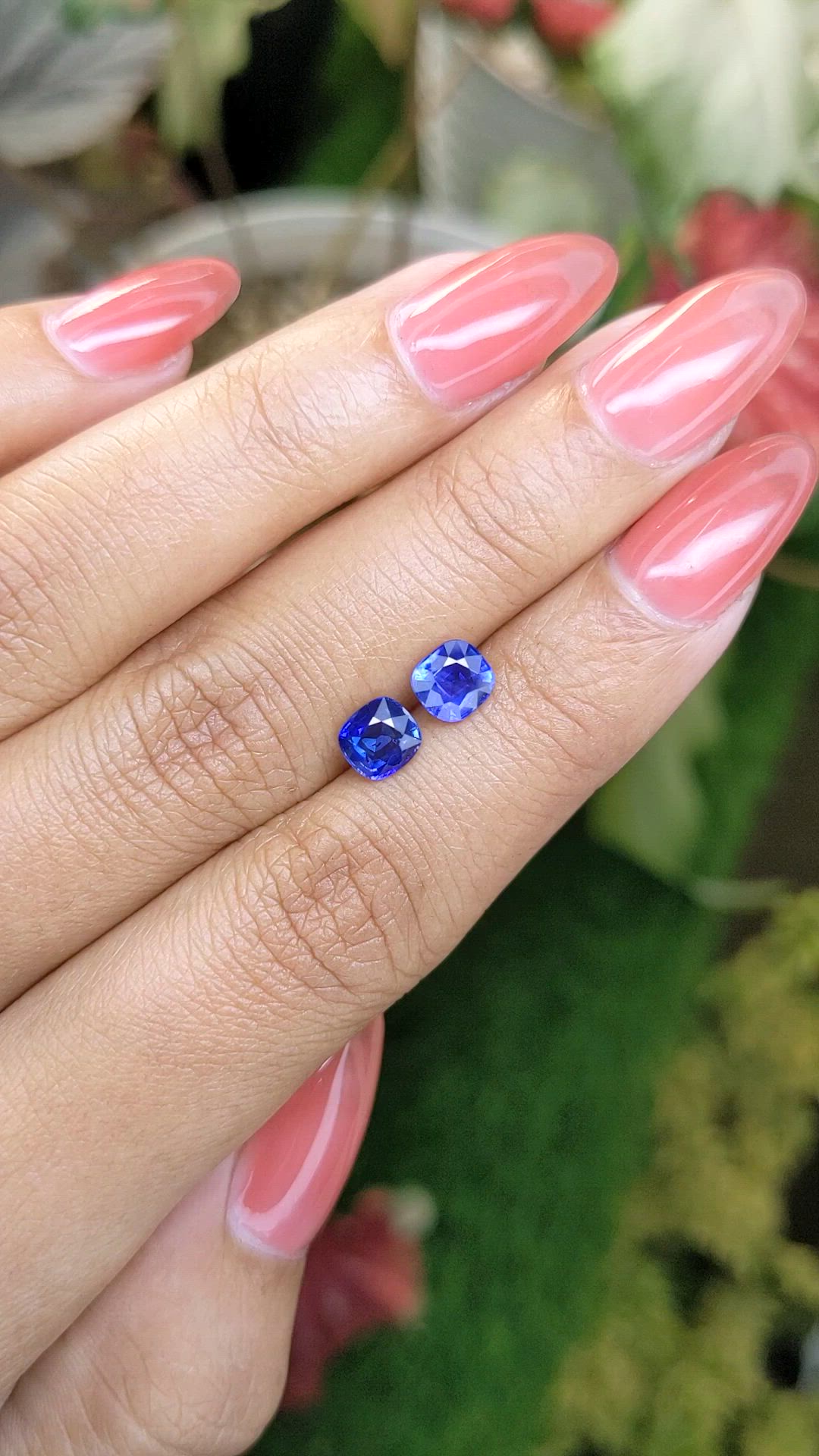1.87&nbsp;Ct.Tw.Total Carat Weight Blue Sapphire Pair from Ceylon (Sri Lanka) Size Video