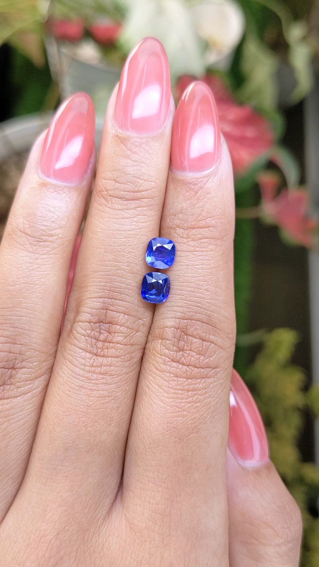 1.87&nbsp;Ct.Tw.Total Carat Weight Blue Sapphire Pair from Ceylon (Sri Lanka) Size Video