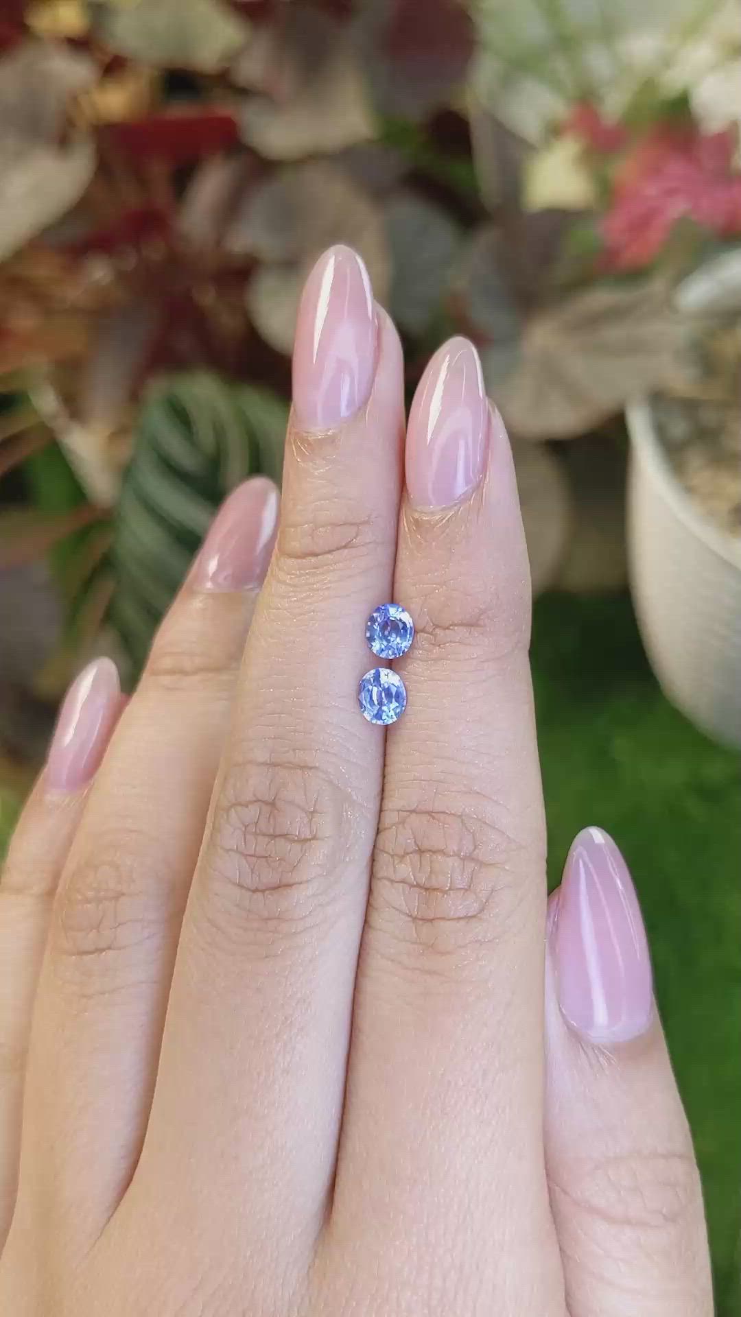 0.97 Ct.Tw.Total Carat Weight Blue Sapphire Pair from Ceylon (Sri Lanka) Size Video