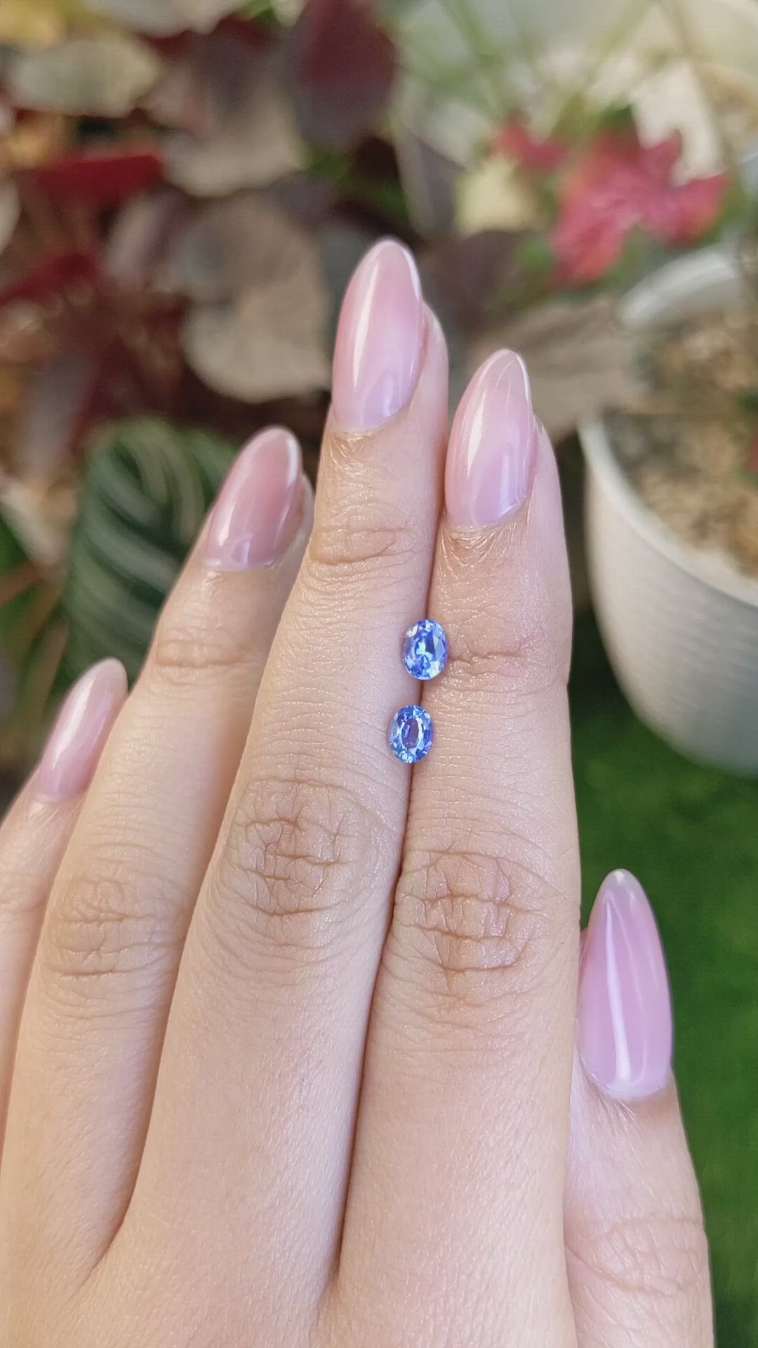 0.82 Ct.Tw.Total Carat Weight Blue Sapphire Pair from Ceylon (Sri Lanka) Size Video