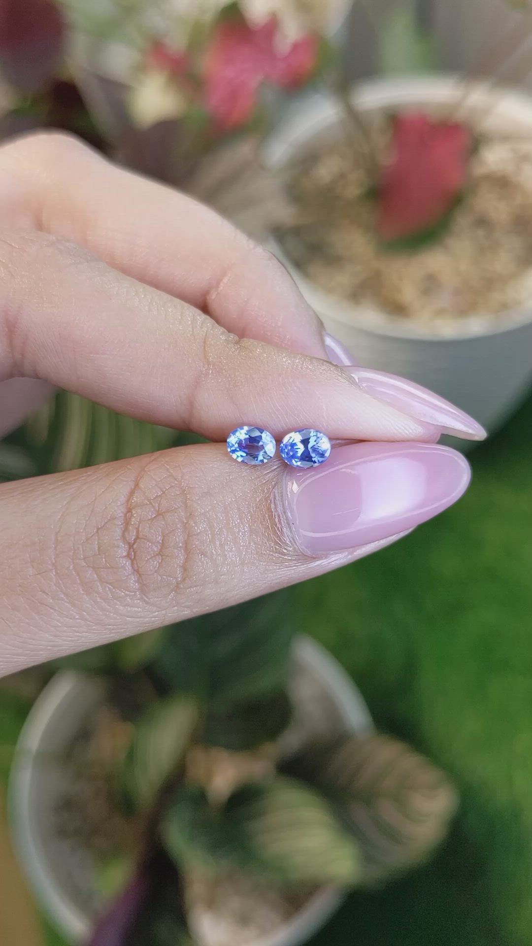 0.82 Ct.Tw.Total Carat Weight Blue Sapphire Pair from Ceylon (Sri Lanka) Size Video