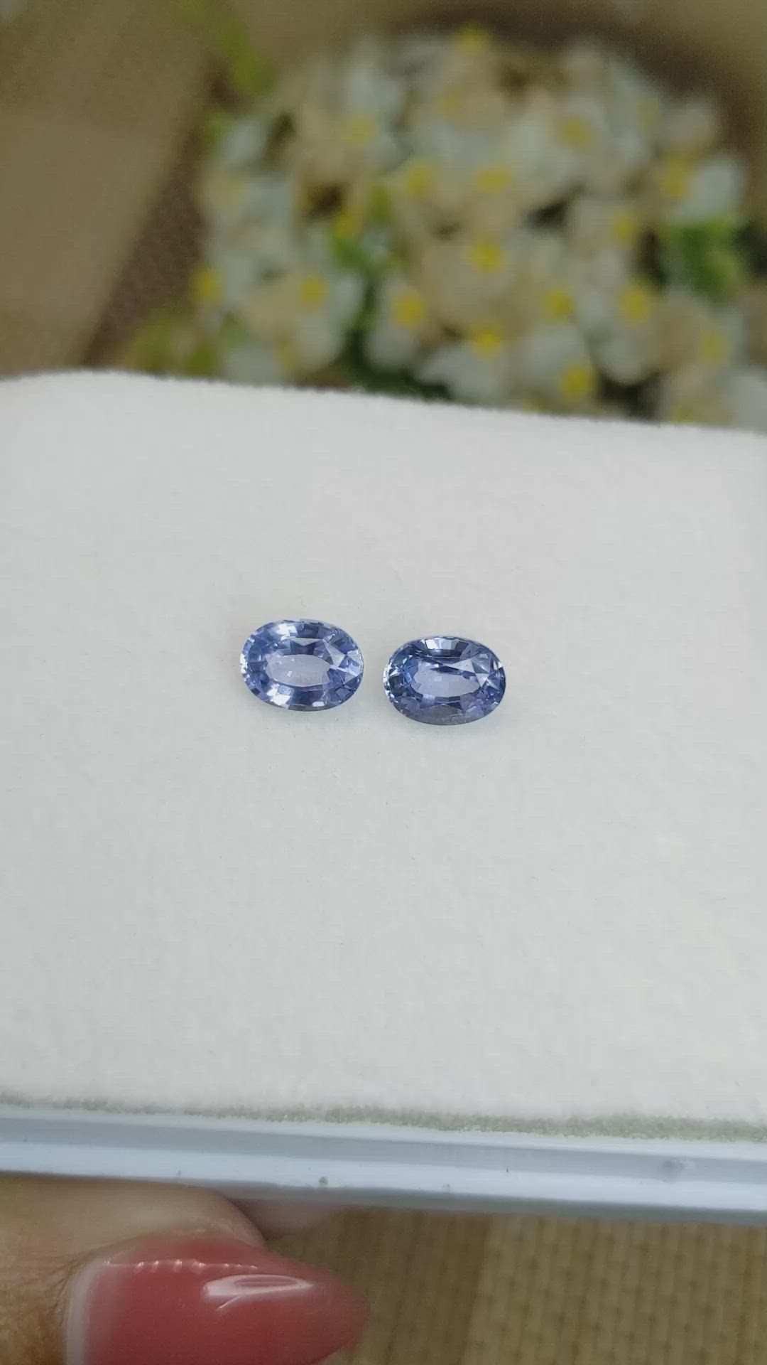 3.55 Ct.Tw.Total Carat Weight Blue Sapphire Pair from Ceylon (Sri Lanka) Size Video