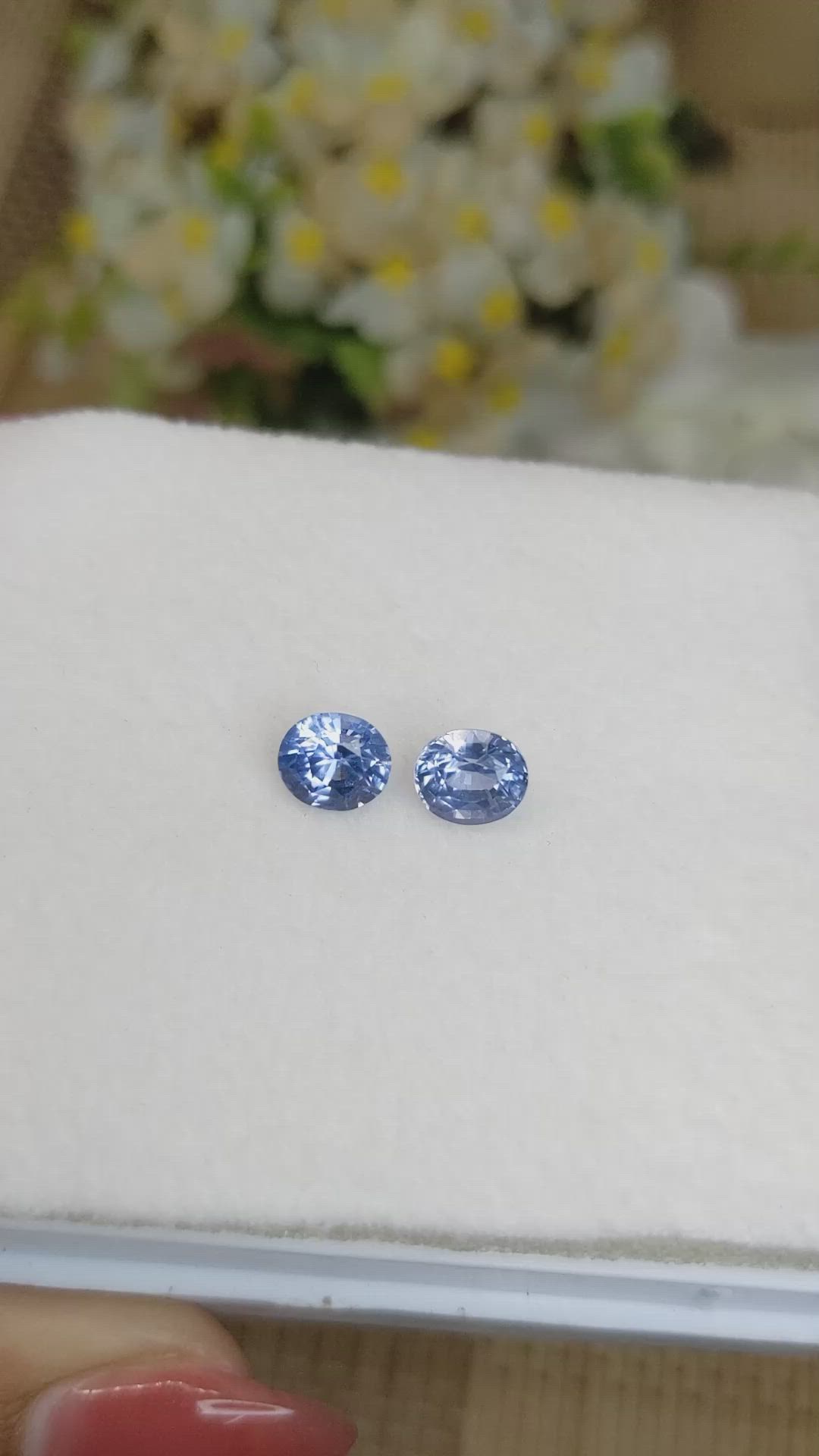 2.89 Ct.Tw.Total Carat Weight Blue Sapphire Pair from Ceylon (Sri Lanka) Size Video