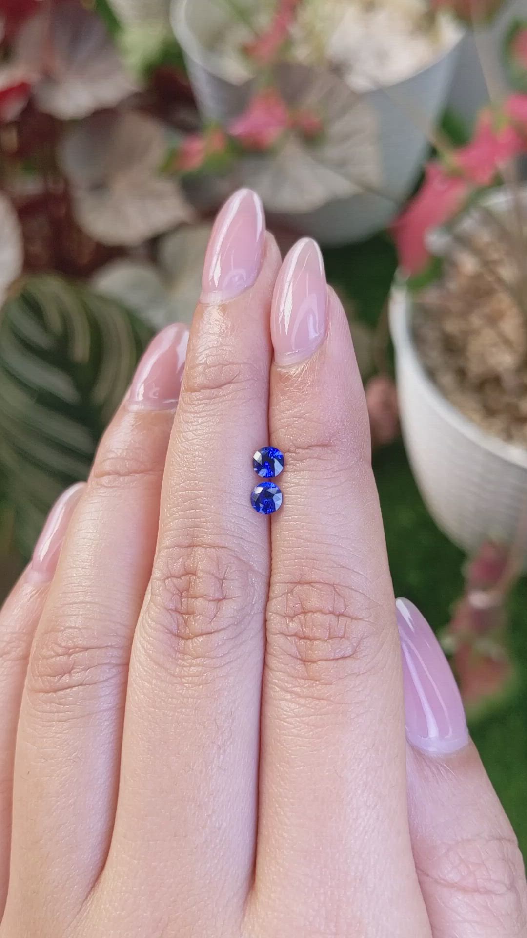 0.61 Ct.Tw.Total Carat Weight Blue Sapphire Pair from Ceylon (Sri Lanka) Size Video