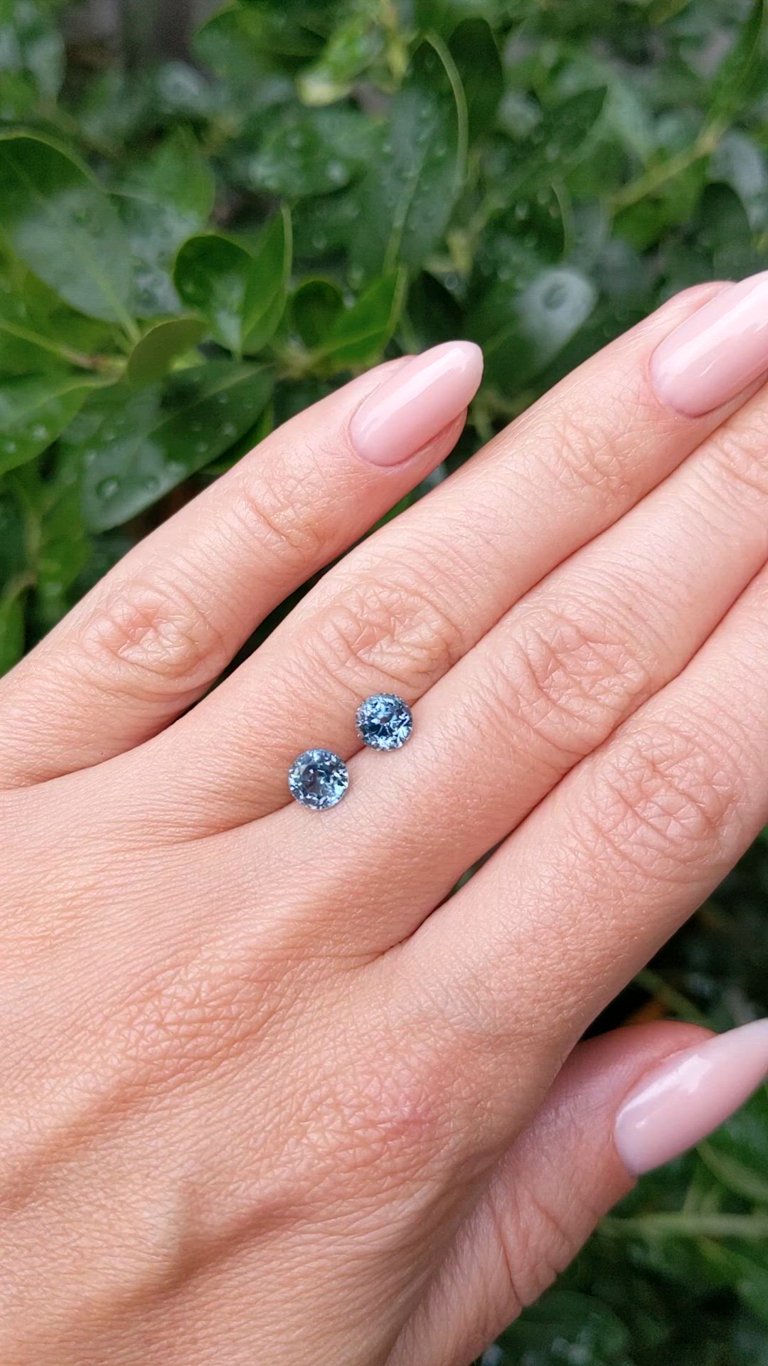 1.95 Ct.Tw.Total Carat Weight Bluish Green Sapphire Pair from Montana Size Video