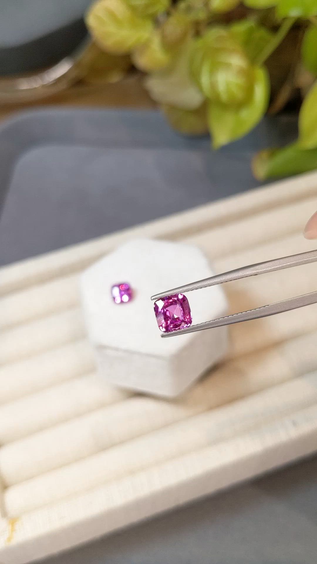 3.11 Ct.Tw.Total Carat Weight Pink Sapphire Pair from Madagascar Size Video