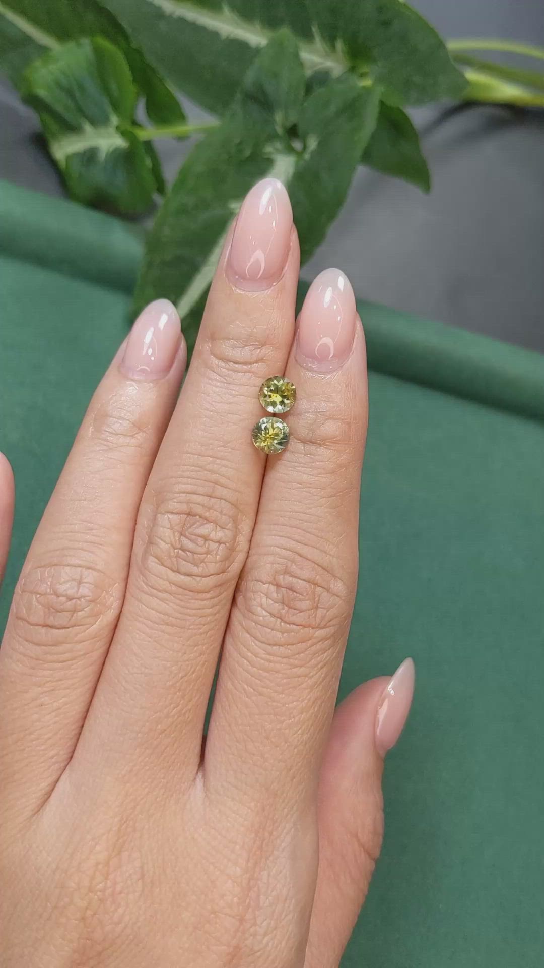 1.64&nbsp;Ct.Tw.Total Carat Weight Greenish Yellow Sapphire Pair from Montana Size Video