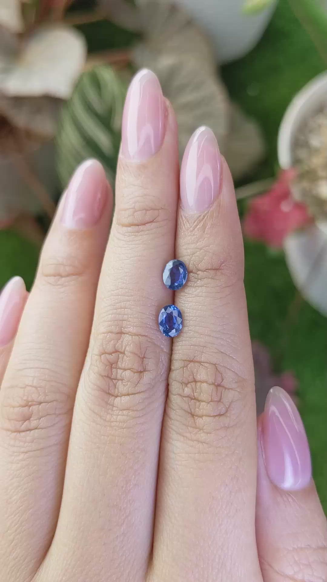 1.32 Ct.Tw.Total Carat Weight Blue Sapphire Pair from Ceylon (Sri Lanka) Size Video