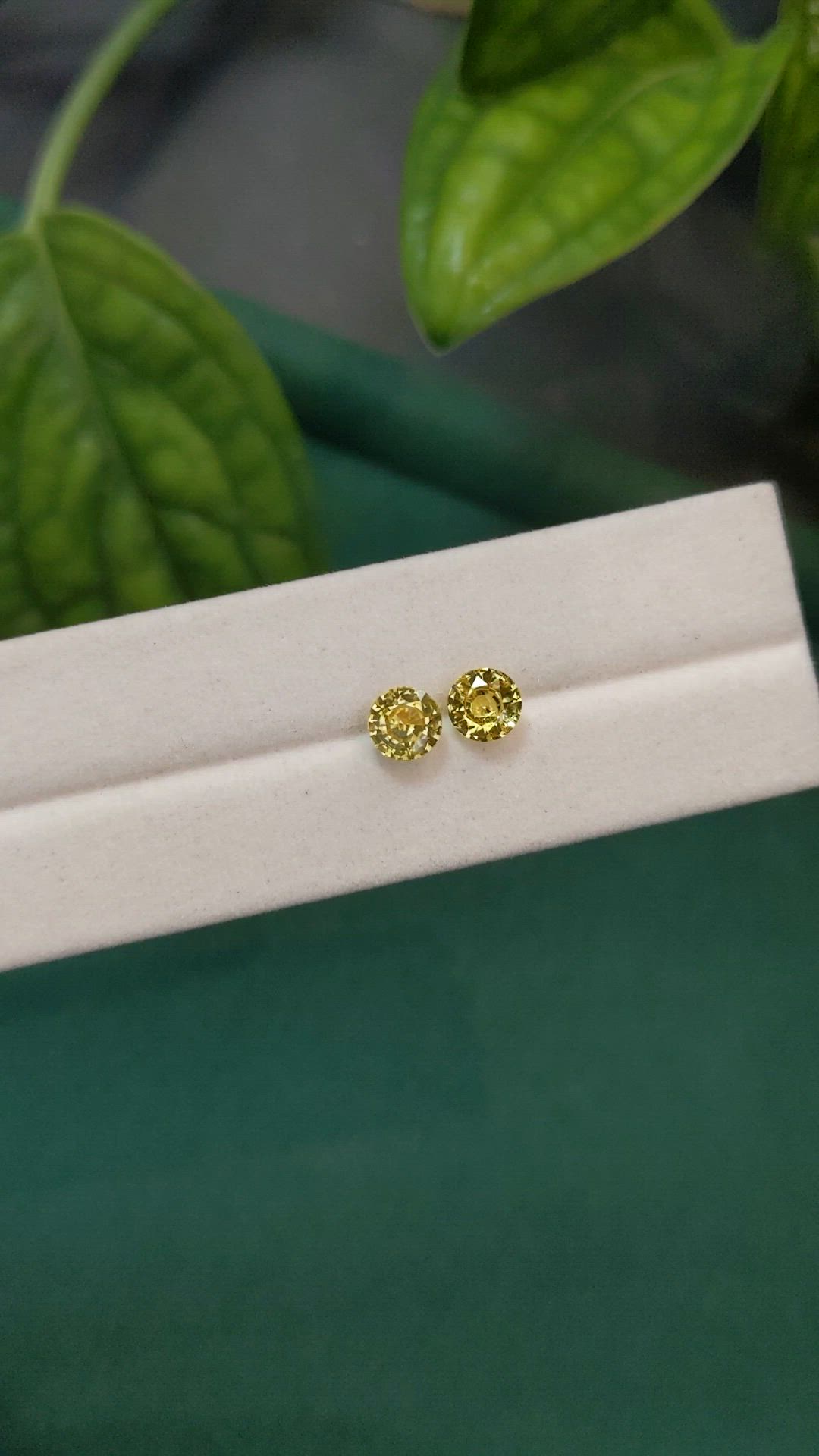 2.12 Ct.Tw.Total Carat Weight Yellow Sapphire Pair from Ceylon (Sri Lanka) Size Video