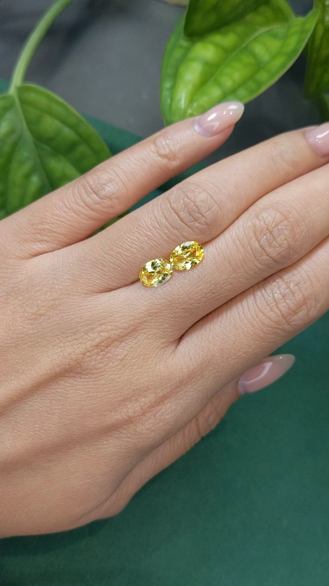 2.37&nbsp;Ct.Tw.Total Carat Weight Yellow Sapphire Pair from Ceylon (Sri Lanka) Size Video