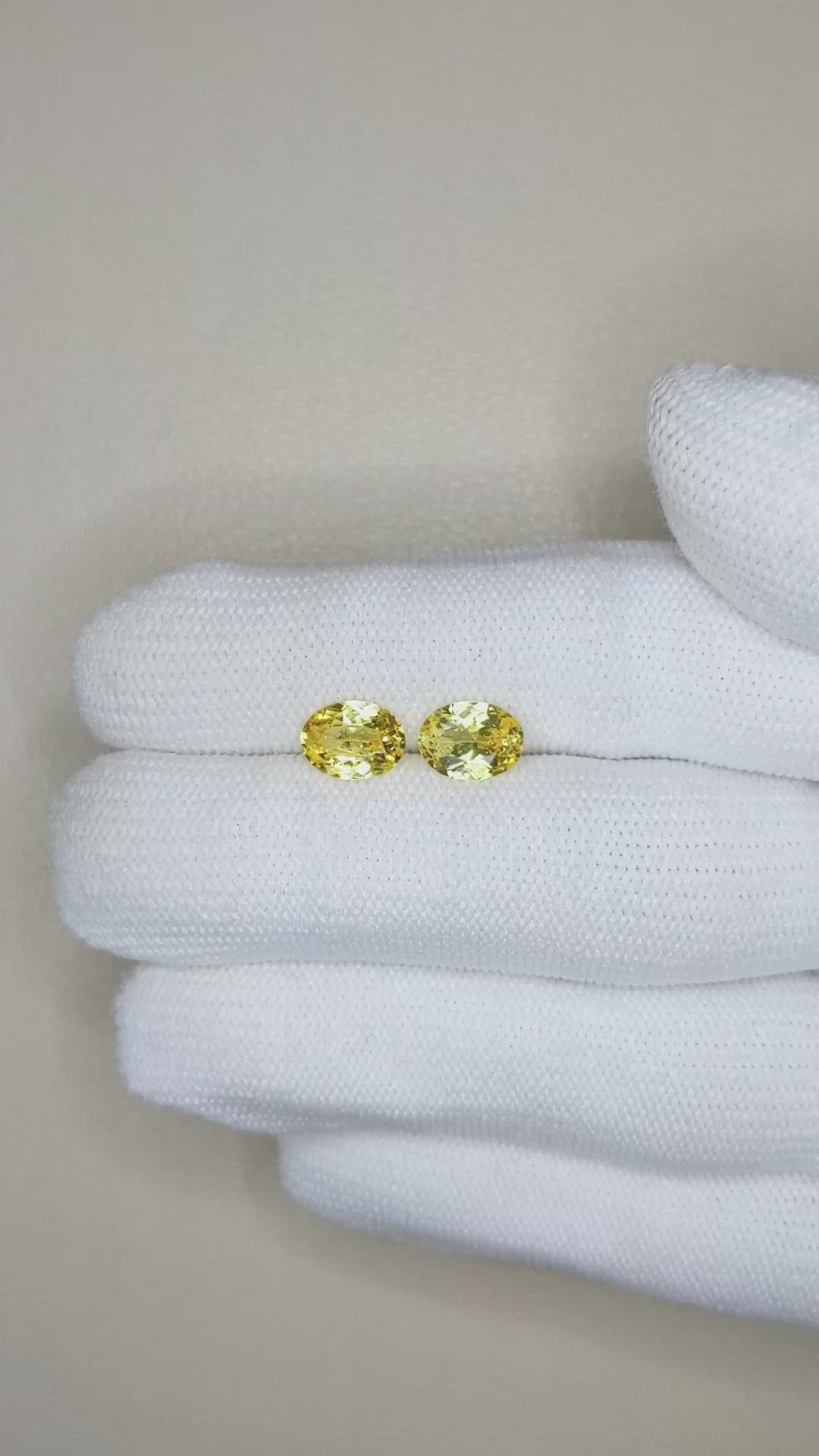 2.37&nbsp;Ct.Tw.Total Carat Weight Yellow Sapphire Pair from Ceylon (Sri Lanka) Size Video