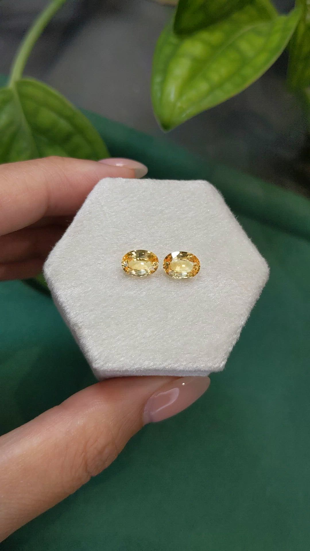 2.76&nbsp;Ct.Tw.Total Carat Weight Orangish Yellow Sapphire Pair from Ceylon (Sri Lanka) Size Video