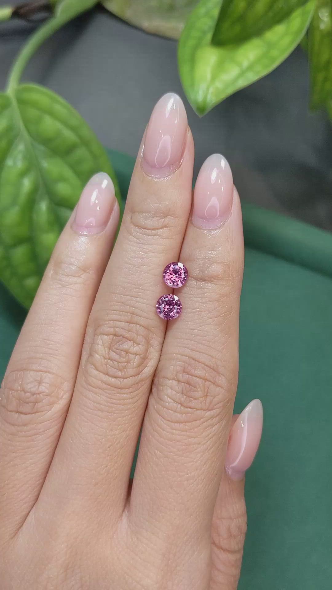 1.51&nbsp;Ct.Tw.Total Carat Weight Pink Sapphire Pair from Ceylon (Sri Lanka) Size Video