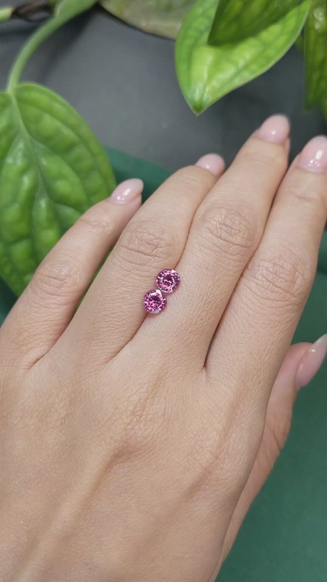 1.51&nbsp;Ct.Tw.Total Carat Weight Pink Sapphire Pair from Ceylon (Sri Lanka) Size Video