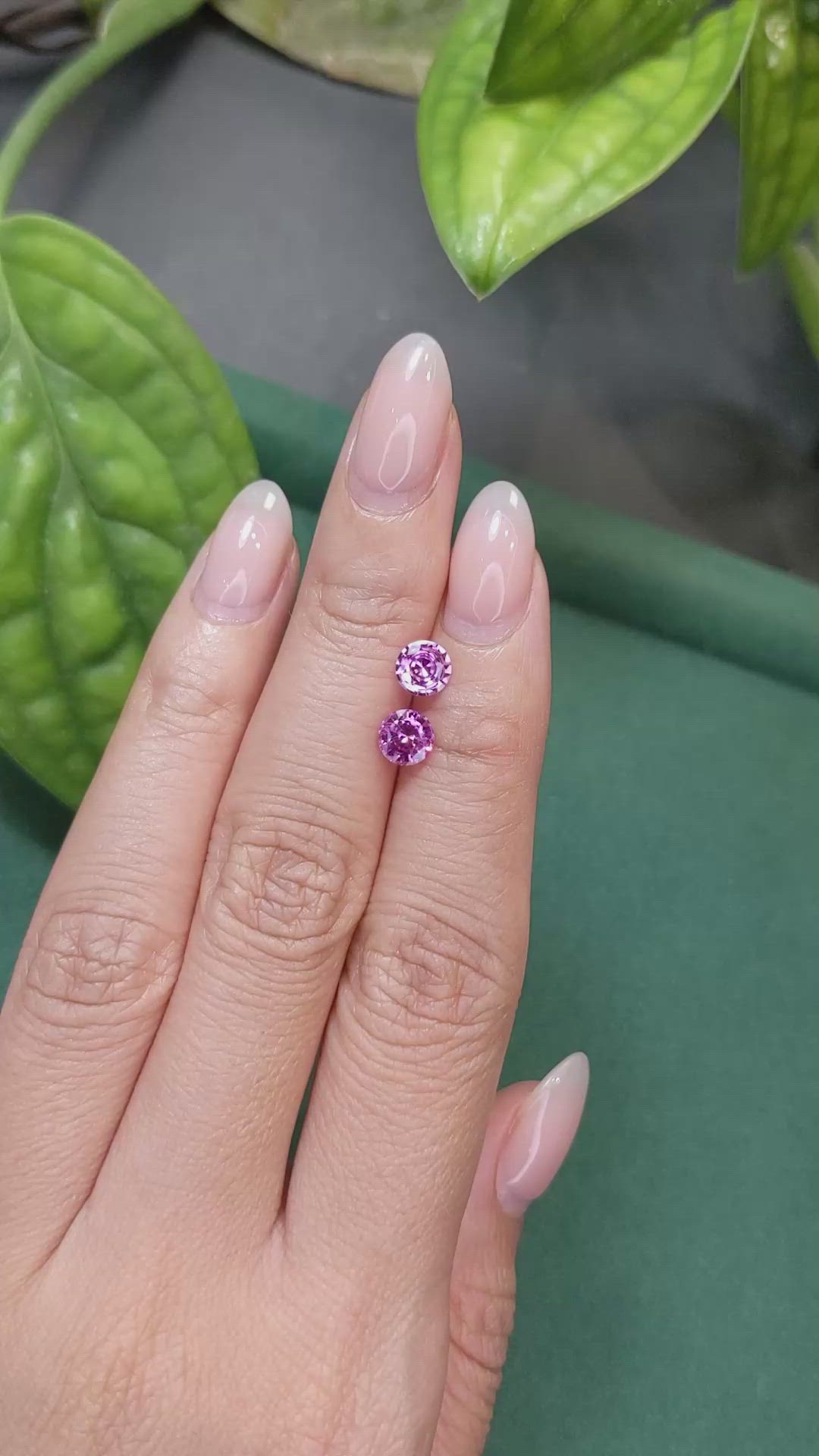 1.47 Ct.Tw.Total Carat Weight Pink Sapphire Pair from Ceylon (Sri Lanka) Size Video
