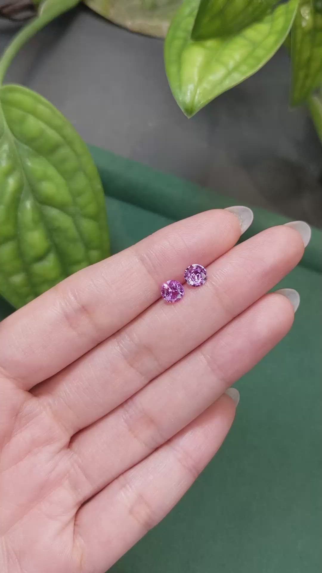 1.47 Ct.Tw.Total Carat Weight Pink Sapphire Pair from Ceylon (Sri Lanka) Size Video