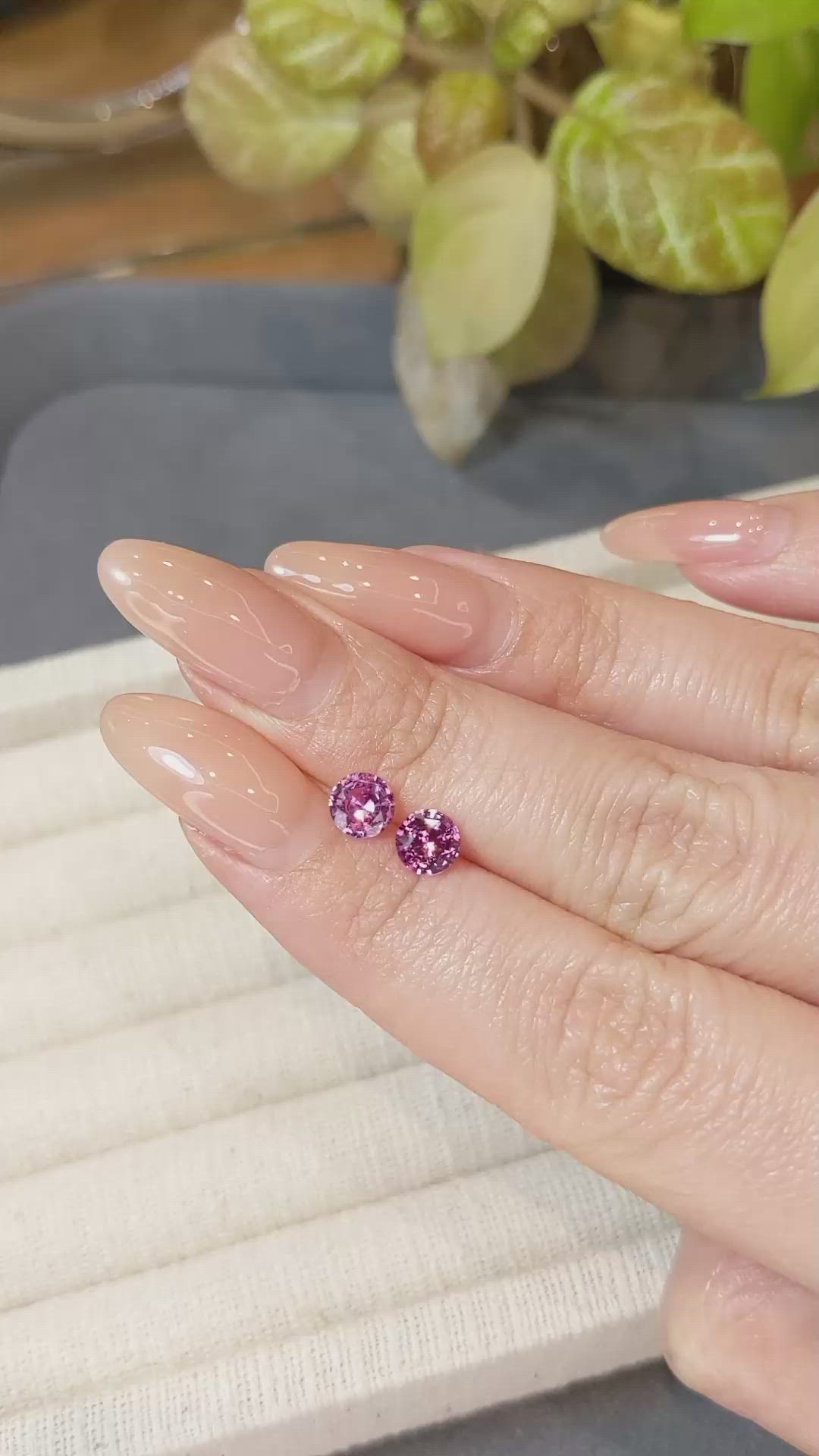 1.44 Ct.Tw.Total Carat Weight Purplish Pink Sapphire Pair from Ceylon (Sri Lanka) Size Video