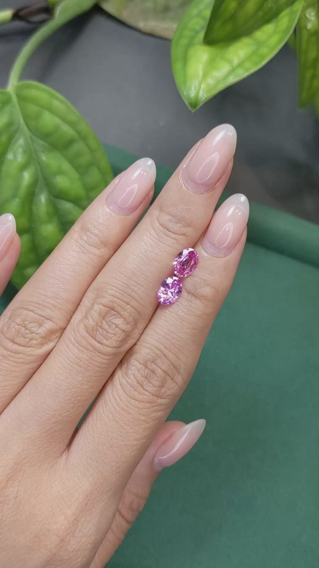 1.85 Ct.Tw.Total Carat Weight Pink Sapphire Pair from Ceylon (Sri Lanka) Size Video