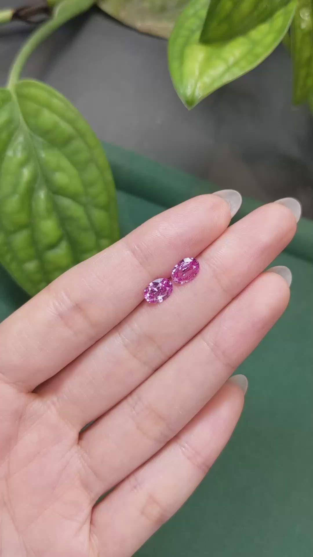 1.85 Ct.Tw.Total Carat Weight Pink Sapphire Pair from Ceylon (Sri Lanka) Size Video