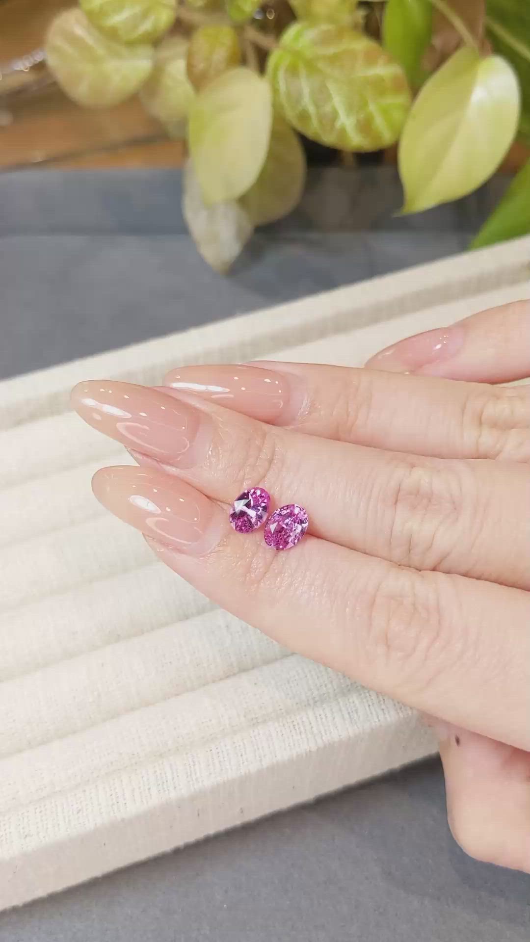 1.80 Ct.Tw.Total Carat Weight Pink Sapphire Pair from Ceylon (Sri Lanka) Size Video