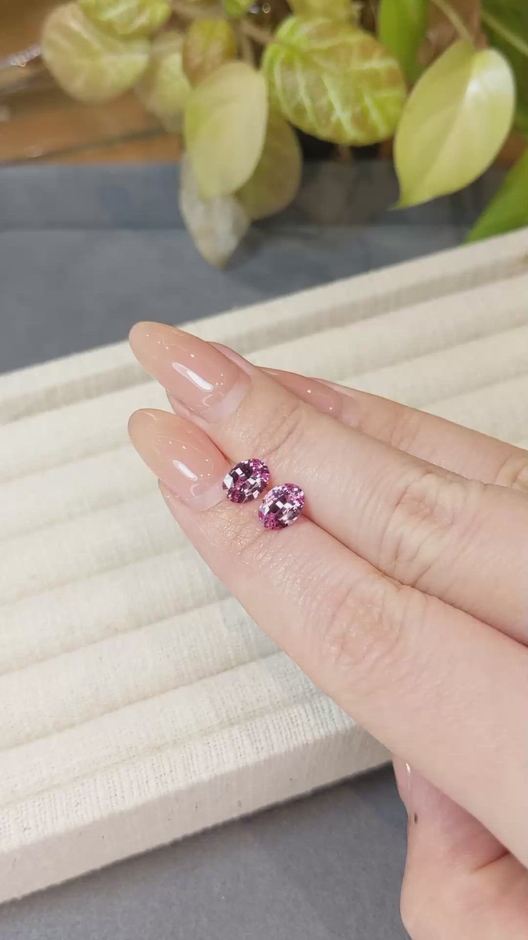 1.99 Ct.Tw.Total Carat Weight Pink Sapphire Pair from Ceylon (Sri Lanka) Size Video