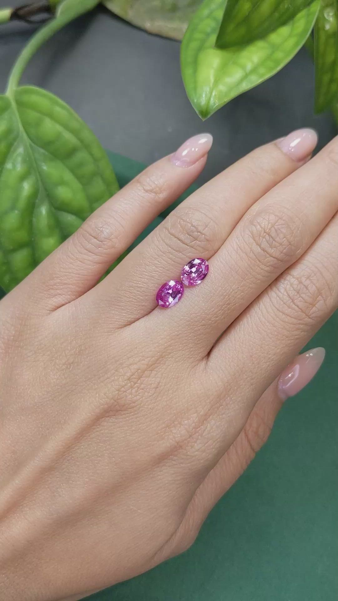1.78 Ct.Tw.Total Carat Weight Pink Sapphire Pair from Ceylon (Sri Lanka) Size Video