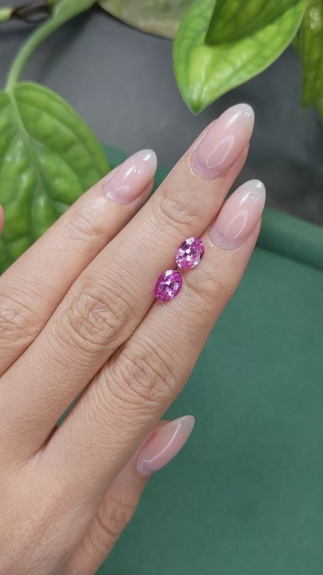 1.78 Ct.Tw.Total Carat Weight Pink Sapphire Pair from Ceylon (Sri Lanka) Size Video