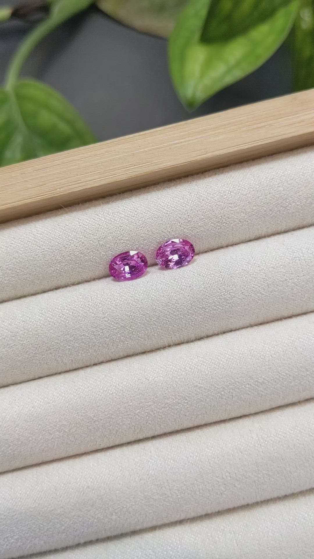 1.78 Ct.Tw.Total Carat Weight Pink Sapphire Pair from Ceylon (Sri Lanka) Size Video