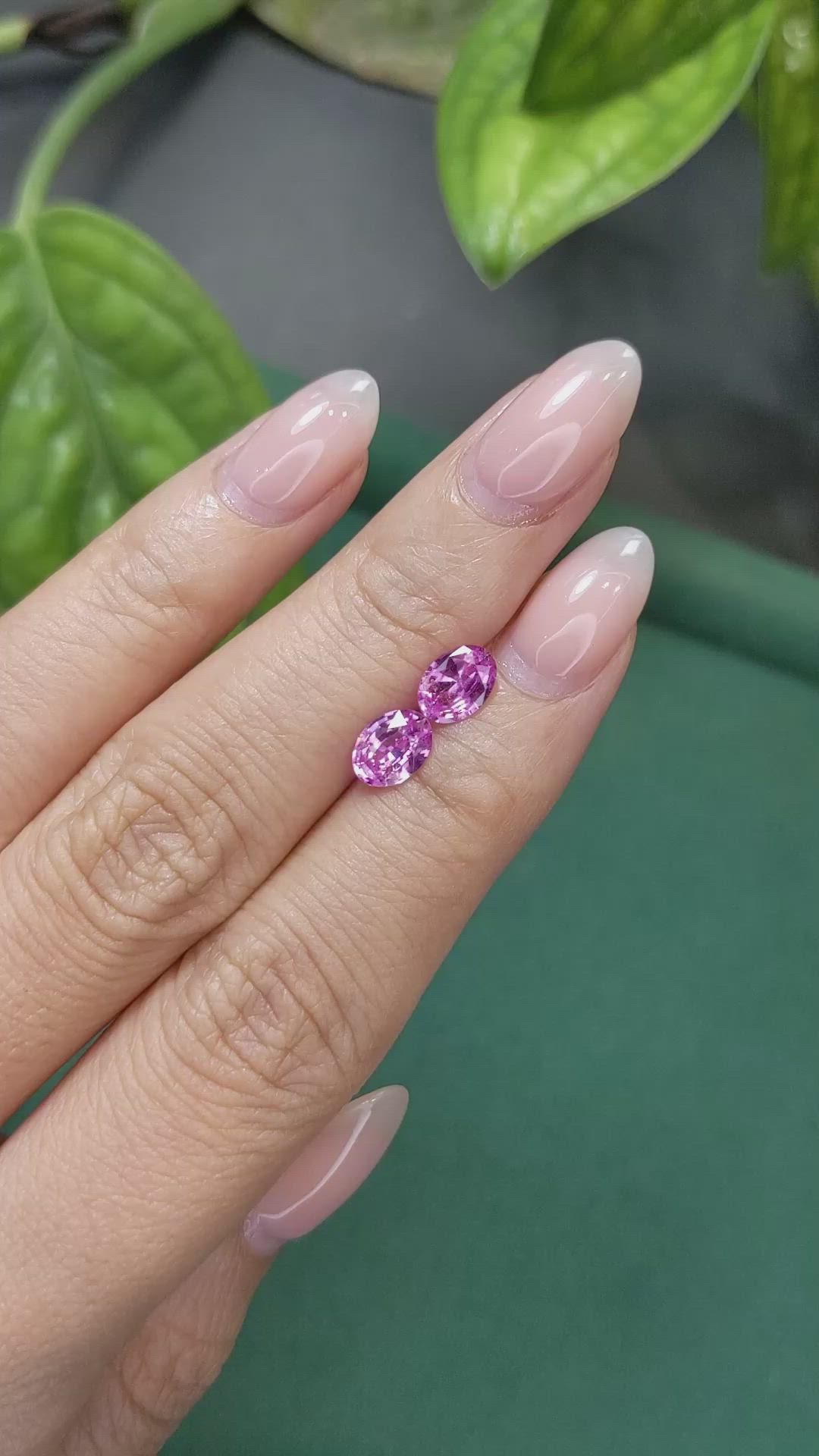 1.71 Ct.Tw.Total Carat Weight Pink Sapphire Pair from Ceylon (Sri Lanka) Size Video