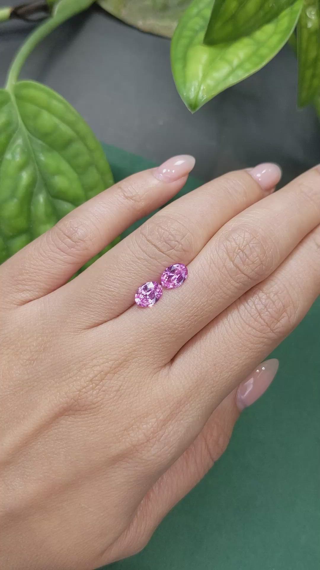 1.71 Ct.Tw.Total Carat Weight Pink Sapphire Pair from Ceylon (Sri Lanka) Size Video