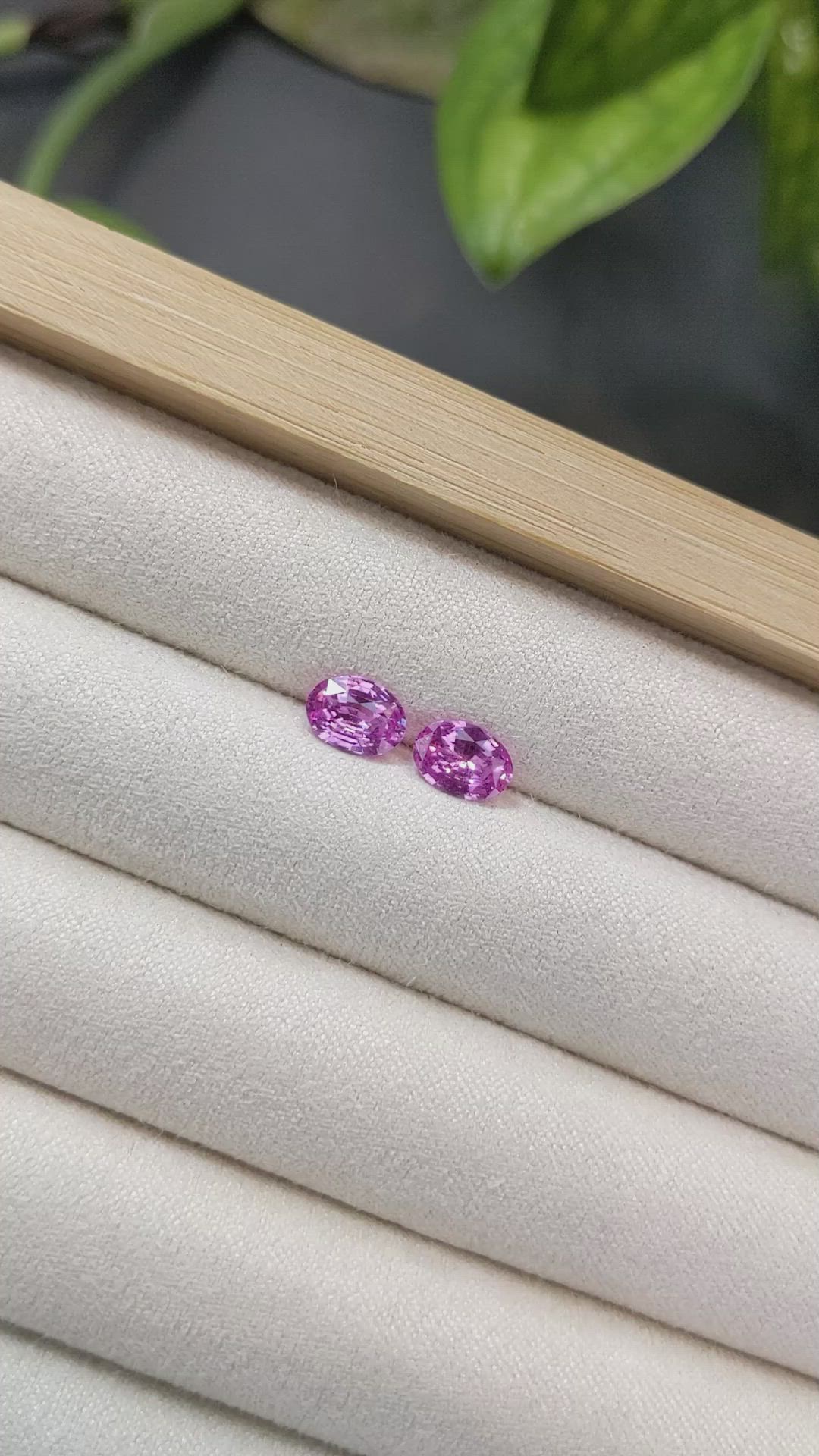 1.71 Ct.Tw.Total Carat Weight Pink Sapphire Pair from Ceylon (Sri Lanka) Size Video