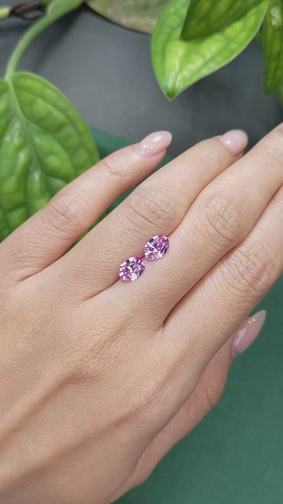 1.75 Ct.Tw.Total Carat Weight Pink Sapphire Pair from Ceylon (Sri Lanka) Size Video