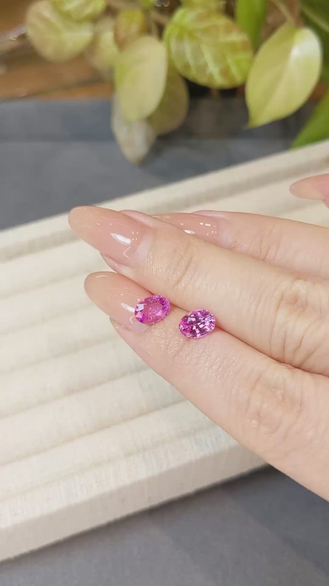 1.99 Ct.Tw.Total Carat Weight Pink Sapphire Pair from Ceylon (Sri Lanka) Size Video