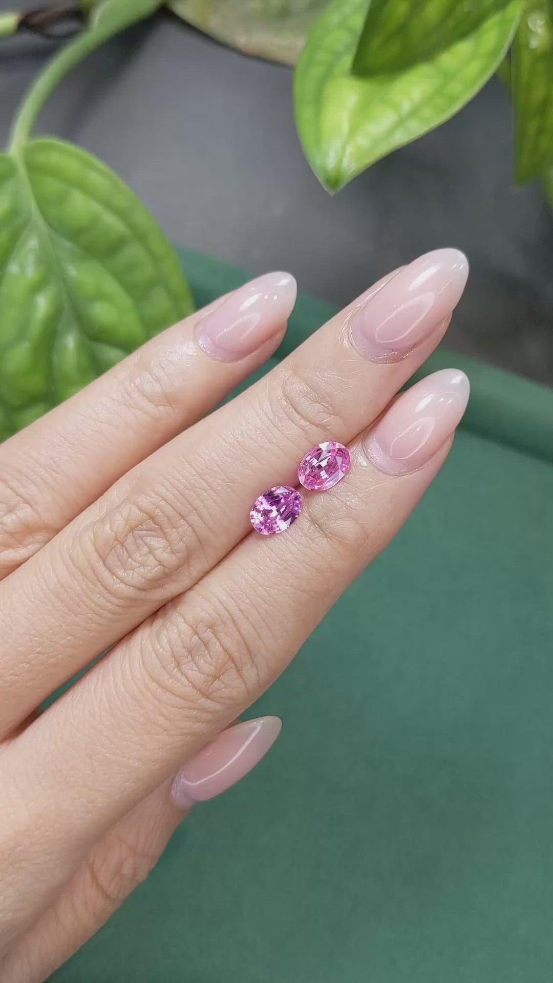 1.83 Ct.Tw.Total Carat Weight Pink Sapphire Pair from Ceylon (Sri Lanka) Size Video