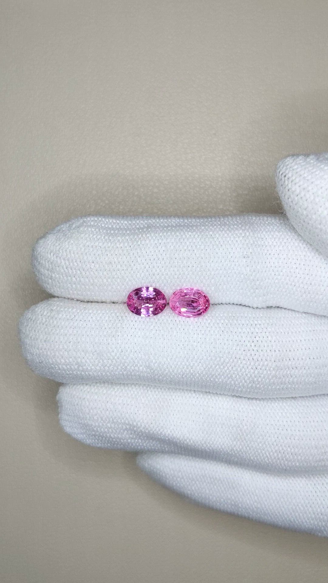 1.83 Ct.Tw.Total Carat Weight Pink Sapphire Pair from Ceylon (Sri Lanka) Size Video
