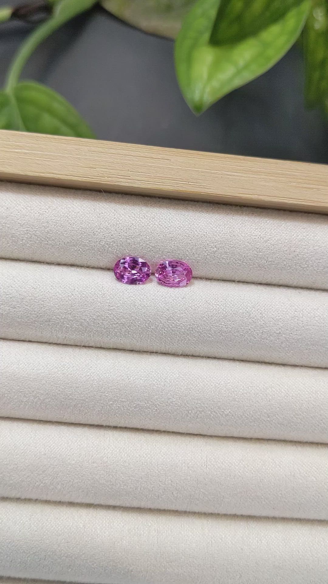 1.83 Ct.Tw.Total Carat Weight Pink Sapphire Pair from Ceylon (Sri Lanka) Size Video