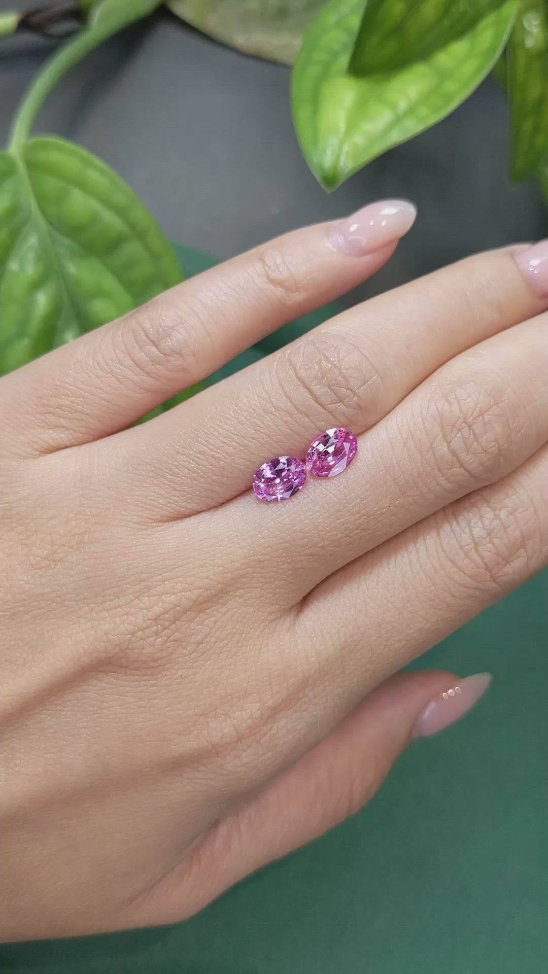 1.83 Ct.Tw.Total Carat Weight Pink Sapphire Pair from Ceylon (Sri Lanka) Size Video