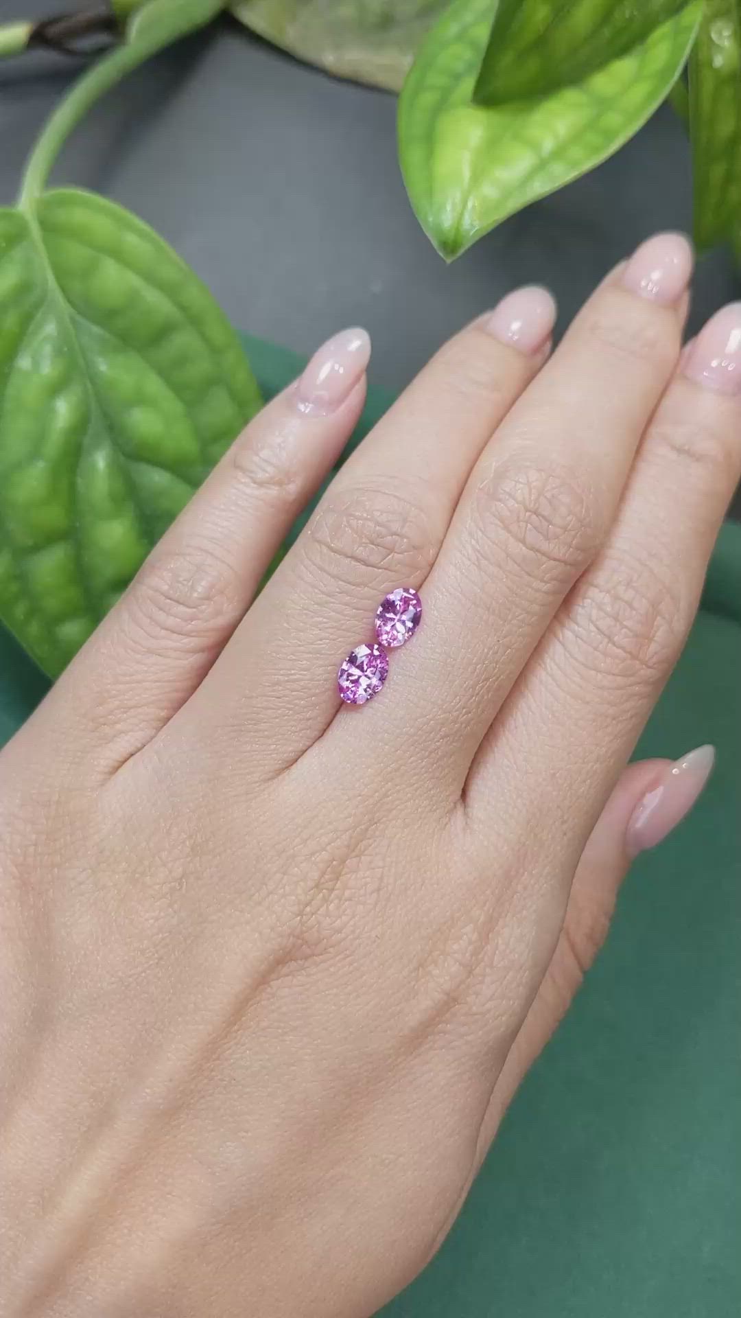1.38 Ct.Tw.Total Carat Weight Pink Sapphire Pair from Ceylon (Sri Lanka) Size Video
