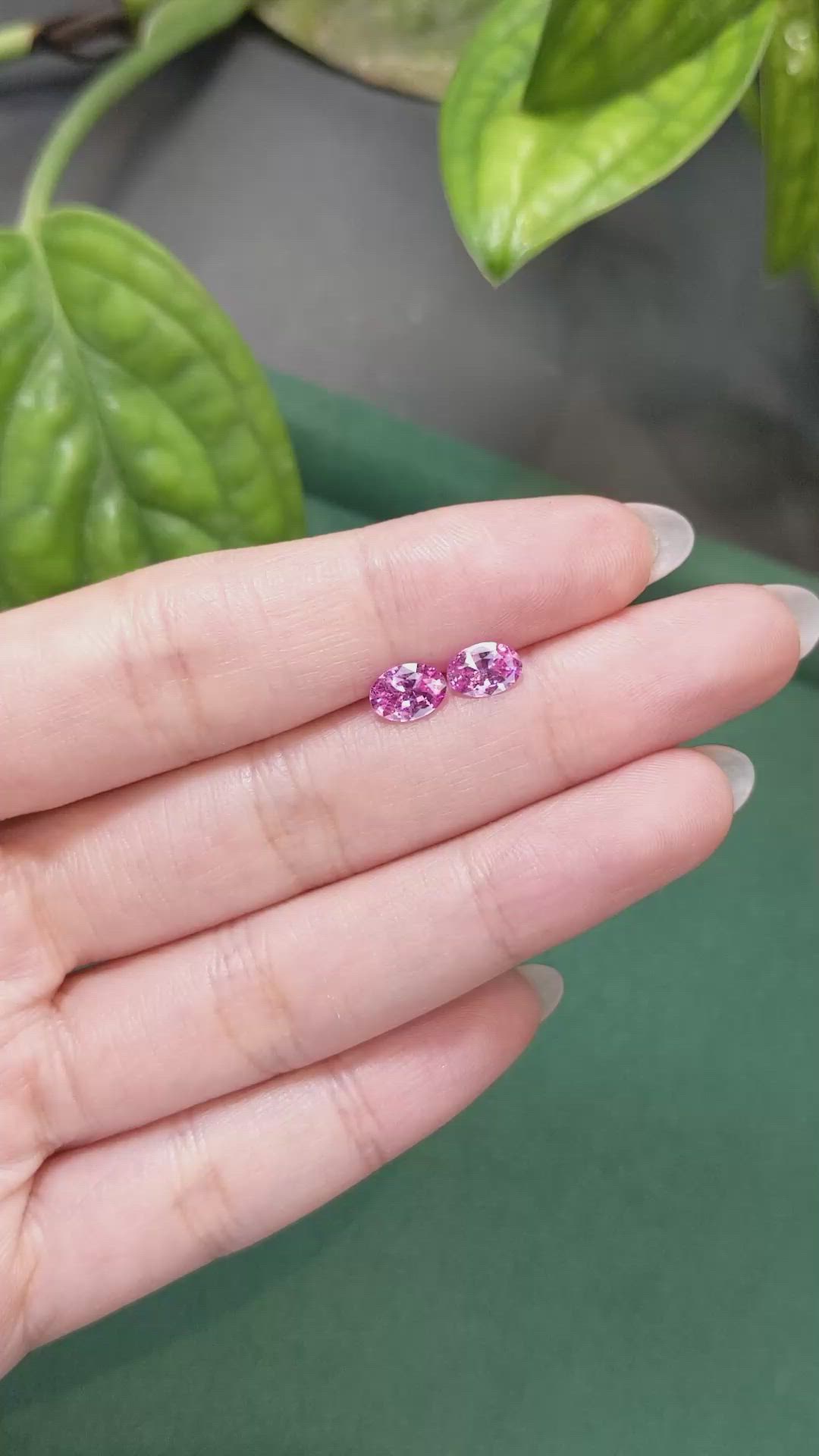 1.38 Ct.Tw.Total Carat Weight Pink Sapphire Pair from Ceylon (Sri Lanka) Size Video