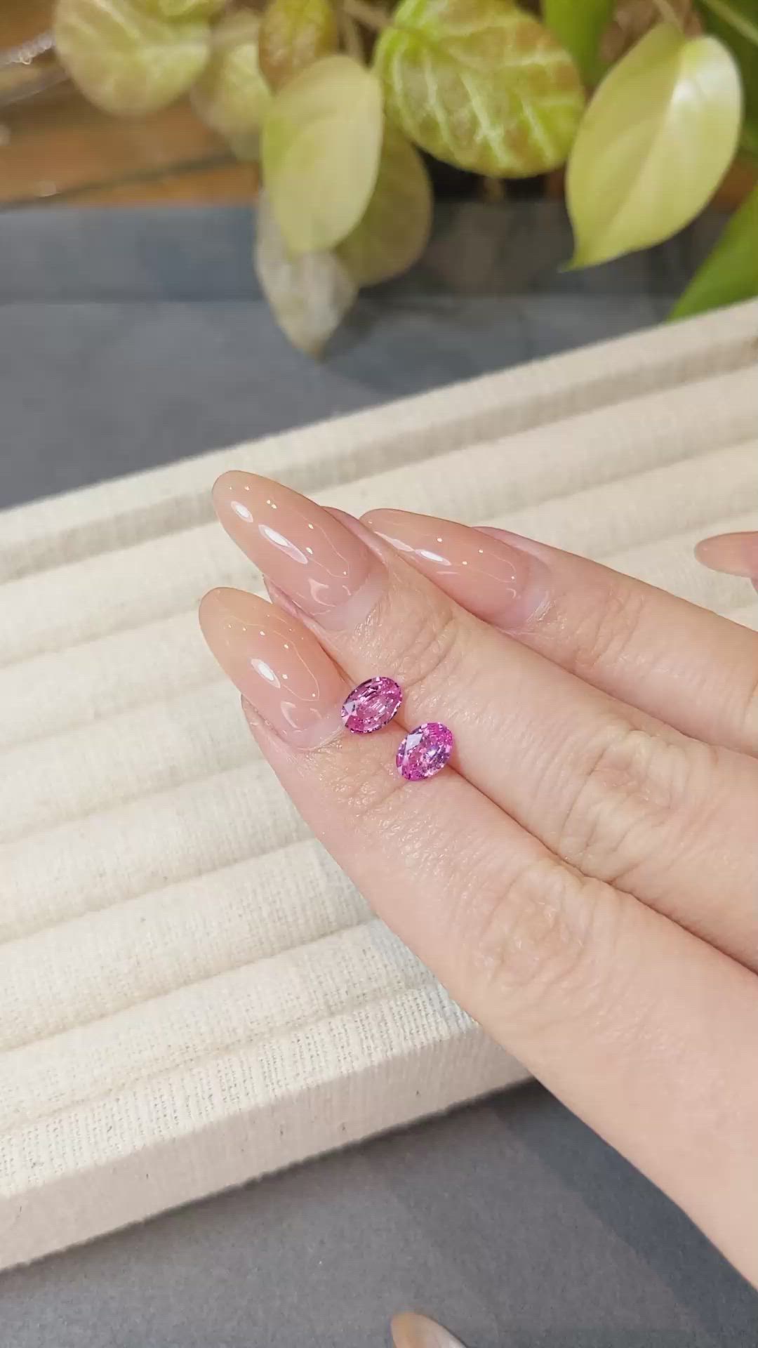 1.34 Ct.Tw.Total Carat Weight Pink Sapphire Pair from Ceylon (Sri Lanka) Size Video