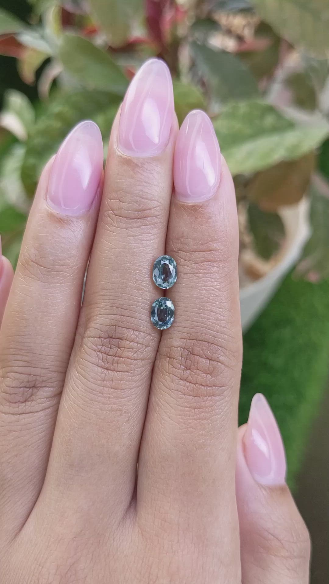 1.50&nbsp;Ct.Tw.Total Carat Weight Bluish Green Sapphire Pair from Ceylon (Sri Lanka) Size Video