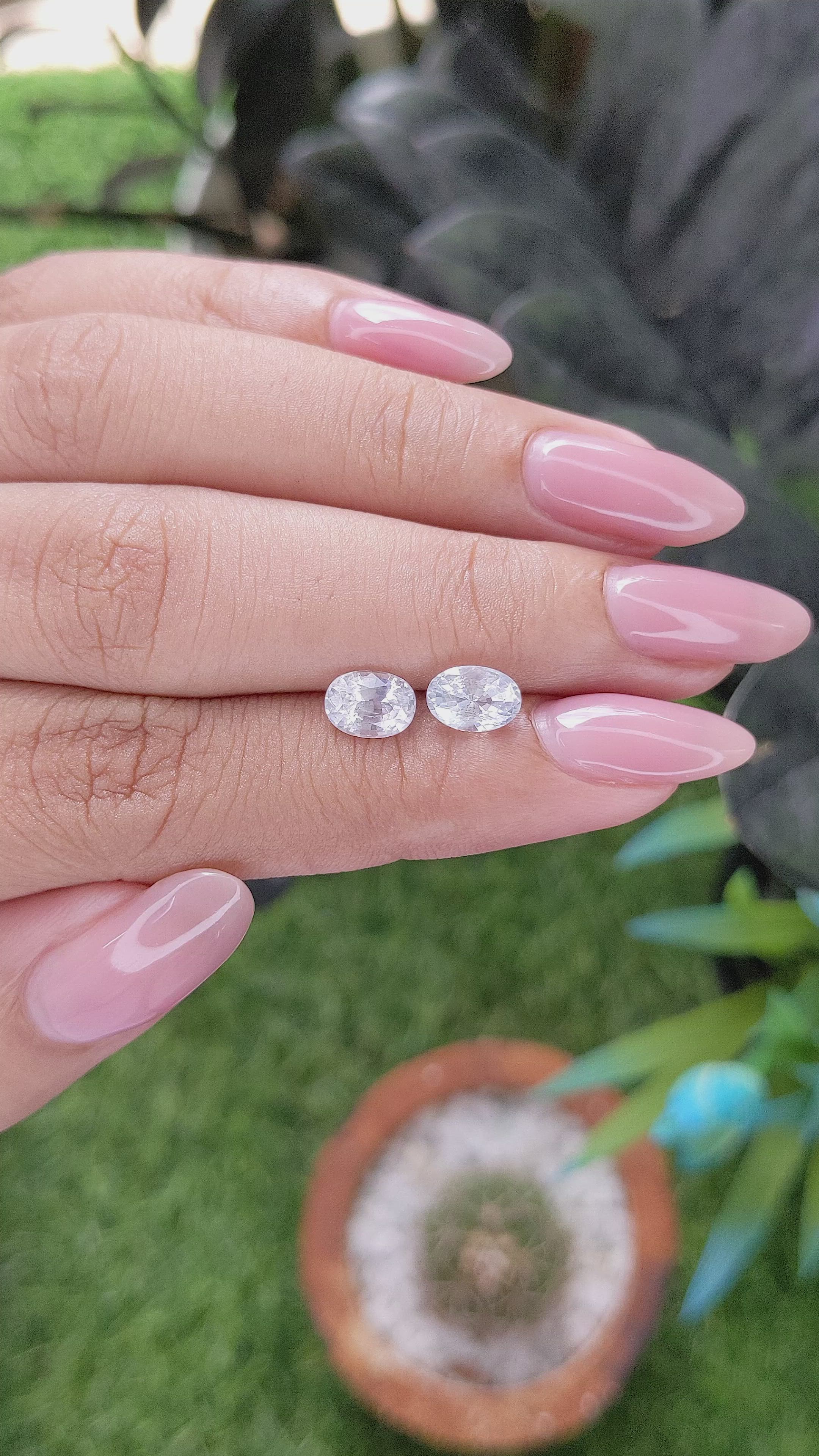 2.41 Ct.Tw.Total Carat Weight White Sapphire Pair from Ceylon (Sri Lanka) Size Video