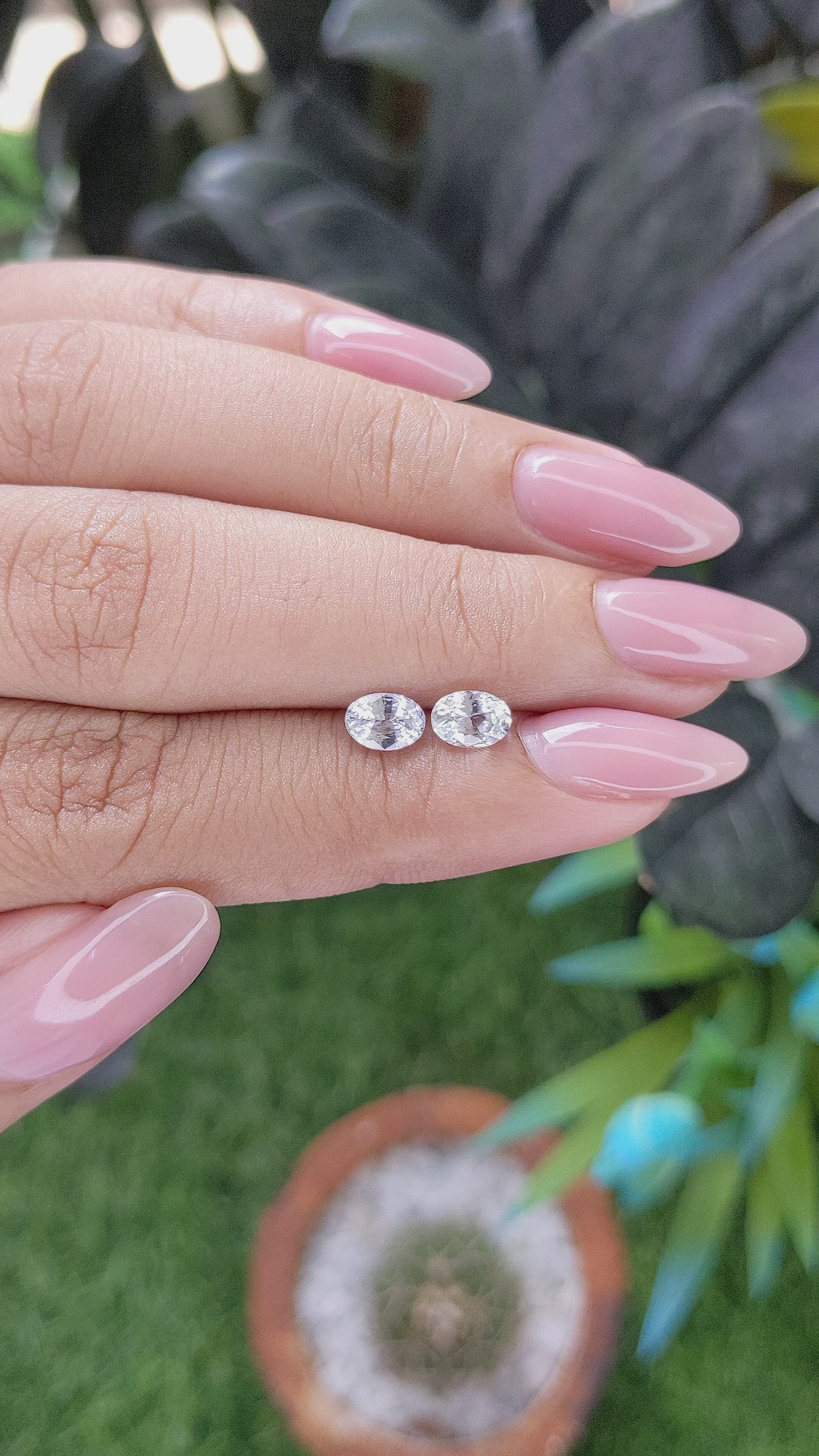1.35 Ct.Tw.Total Carat Weight White Sapphire Pair from Ceylon (Sri Lanka) Size Video