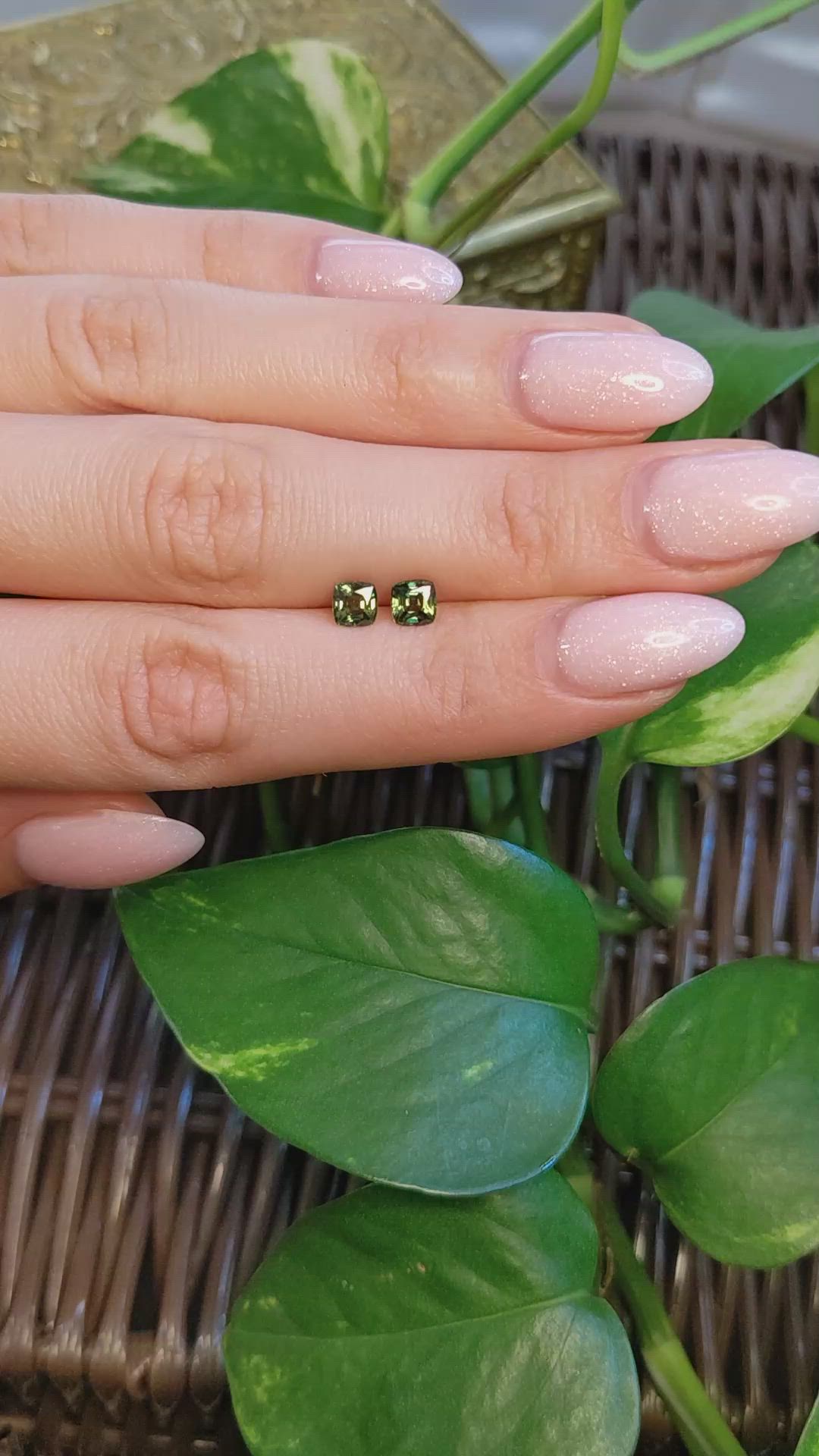 1.28 Ct.Tw.Total Carat Weight Yellowish Green Sapphire Pair from Thailand Size Video