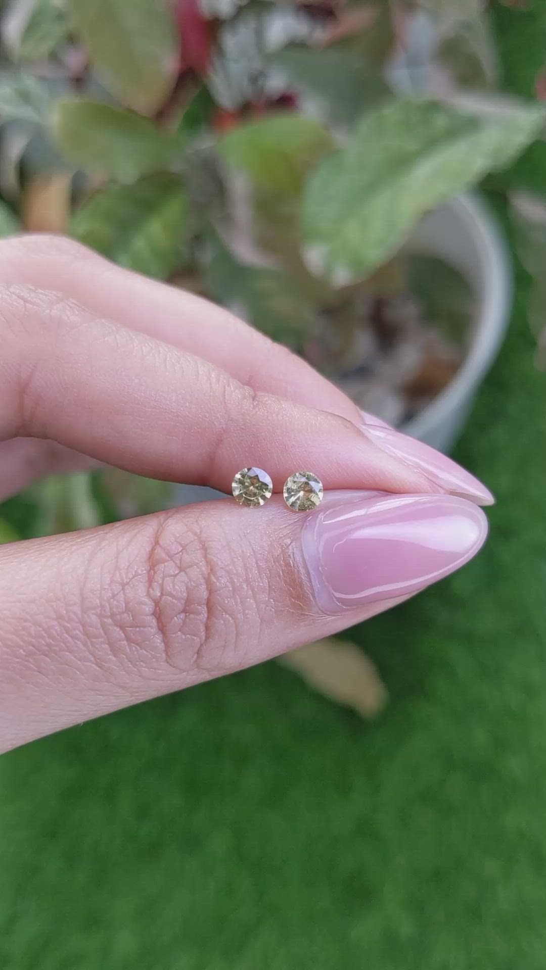 0.48&nbsp;Ct.Tw.Total Carat Weight Yellow Sapphire Pair from Ceylon (Sri Lanka) Size Video
